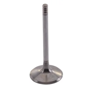 SEADOO GTX4-TEC INTAKE VALVE