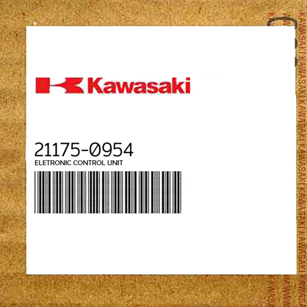 ELECTRONIC CONTROL UNIT KAWASAKI 310