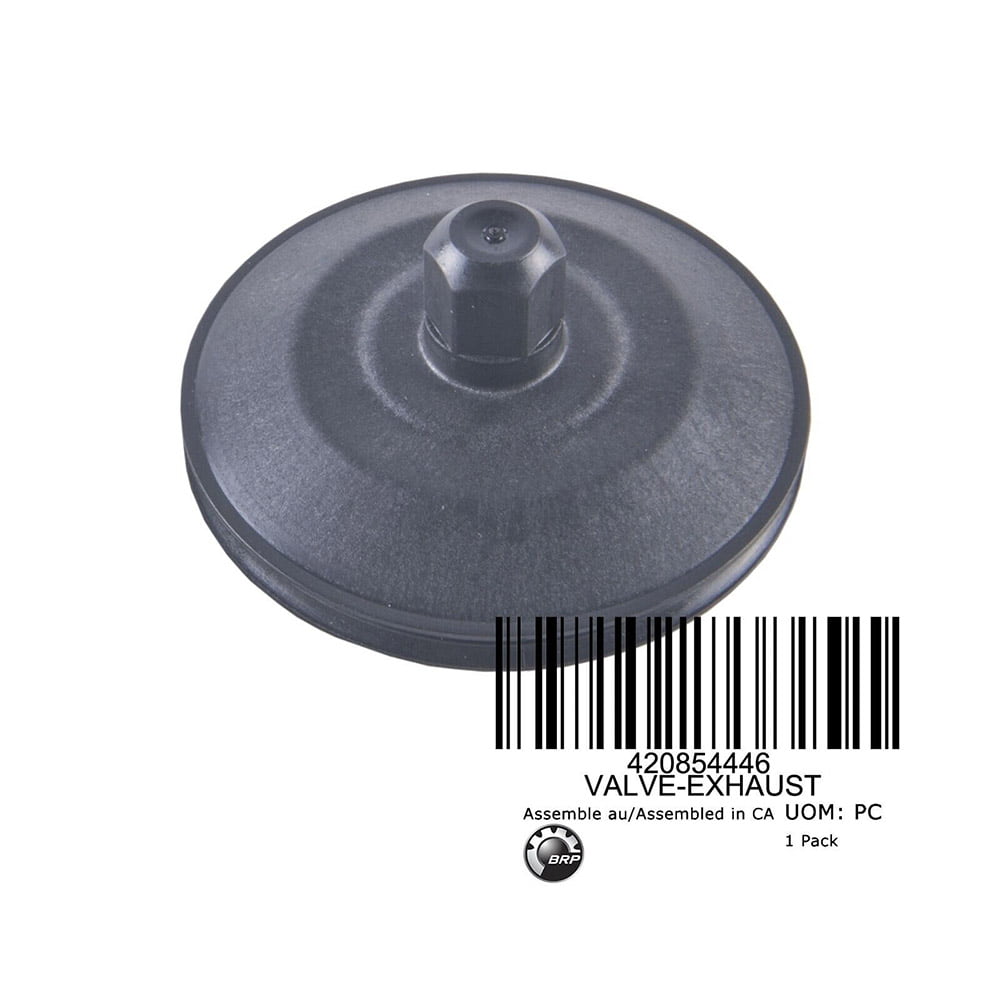 Sea-Doo Exhaust Valve Piston OEM 420854446