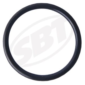 Oil Pump ORing for Polaris SL /SLT /SLH /SLTX /SLTH /Genesis /SLXH /Pro 1200 /Virage TX /Freedom (PRE ORDER)