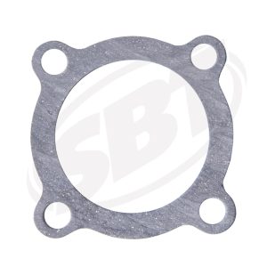Intake Gaskets