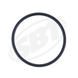 Intake ORing for Honda F-12 /F-12X /R-12 /R-12X 91304-HW1-671 2002-2006 (PRE ORDER)